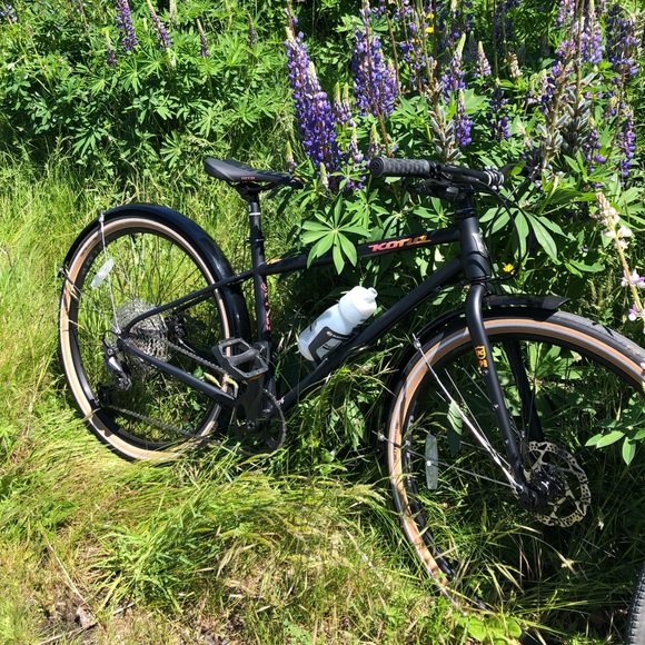 Meet your Posher, Selina - Picture 1 of 1